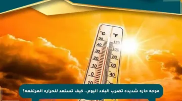 موجة حارة شديدة تضرب البلاد اليوم.. كيف تستعد للحرارة المرتفعة؟